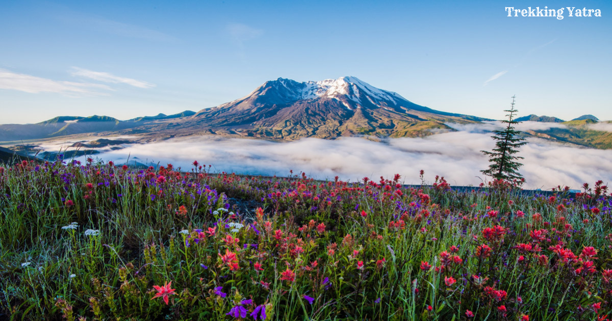 Mount St. Helens National Volcanic Monument