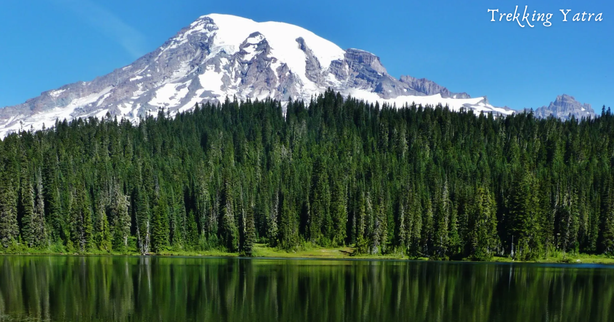 Mount Rainier National Park