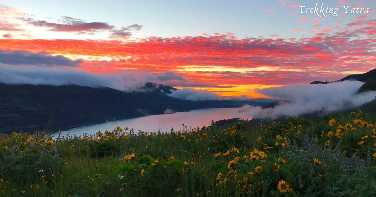 Columbia River Gorge: A Natural Wonder