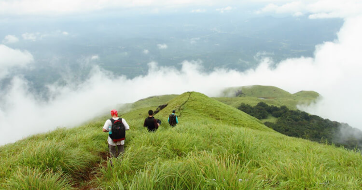 Chembra Peak Trek