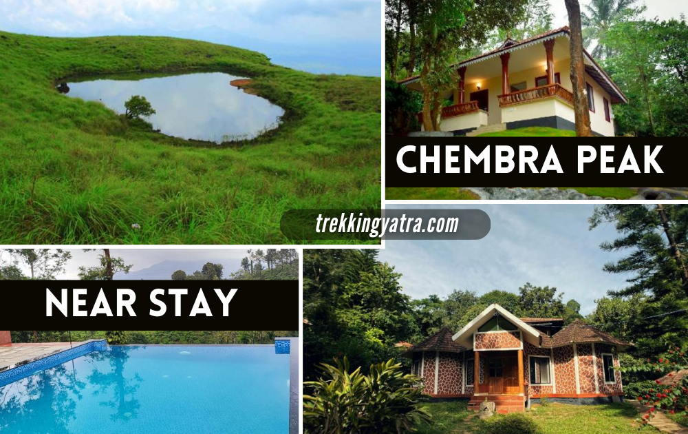 Stay Near Chembra Peak