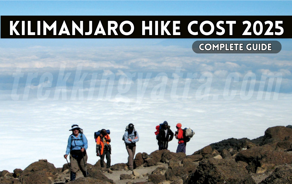 Kilimanjaro Hike Cost 2025