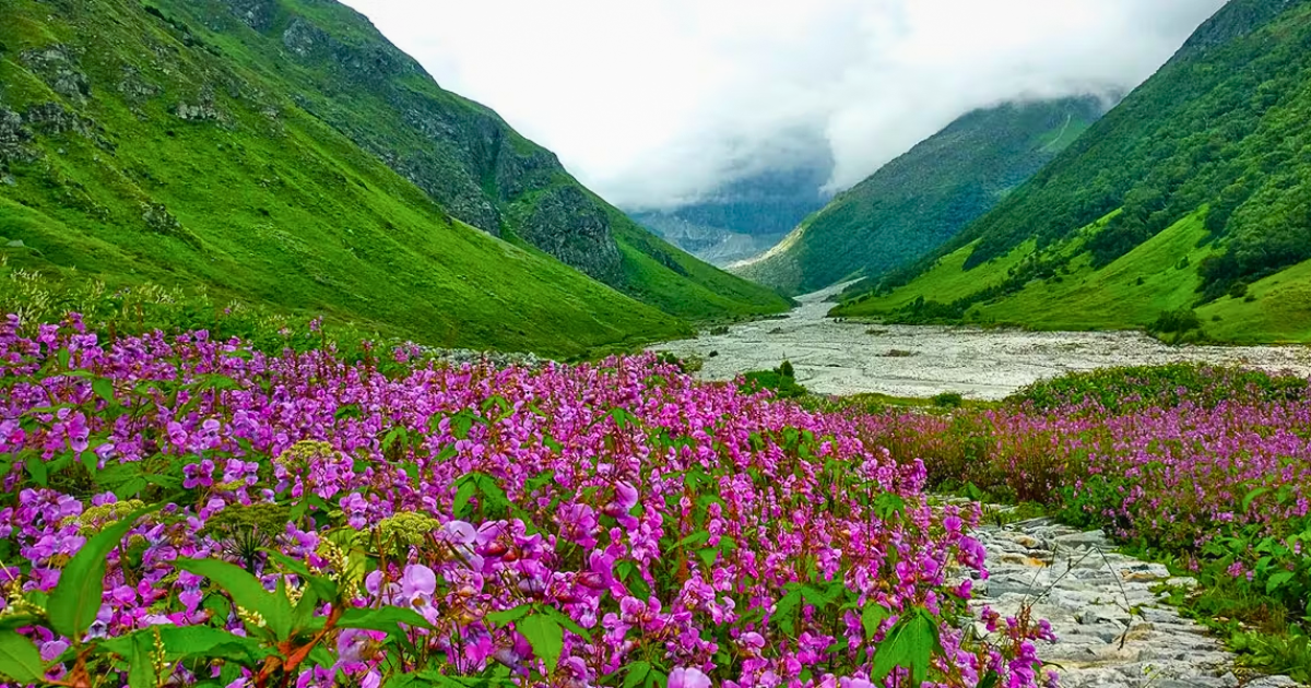 Valley of Flowers