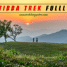 Nag Tibba Trek