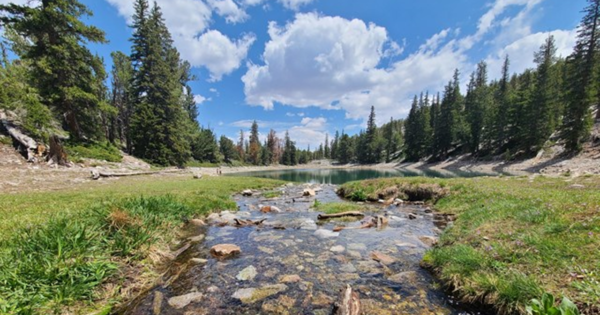 Great Basin National Park