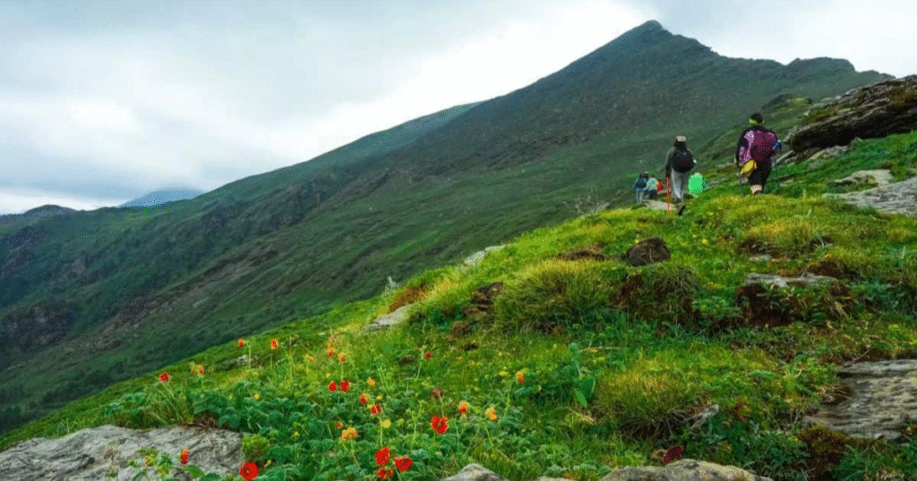 Best Time to Do Phulara Trek Uttarakhand