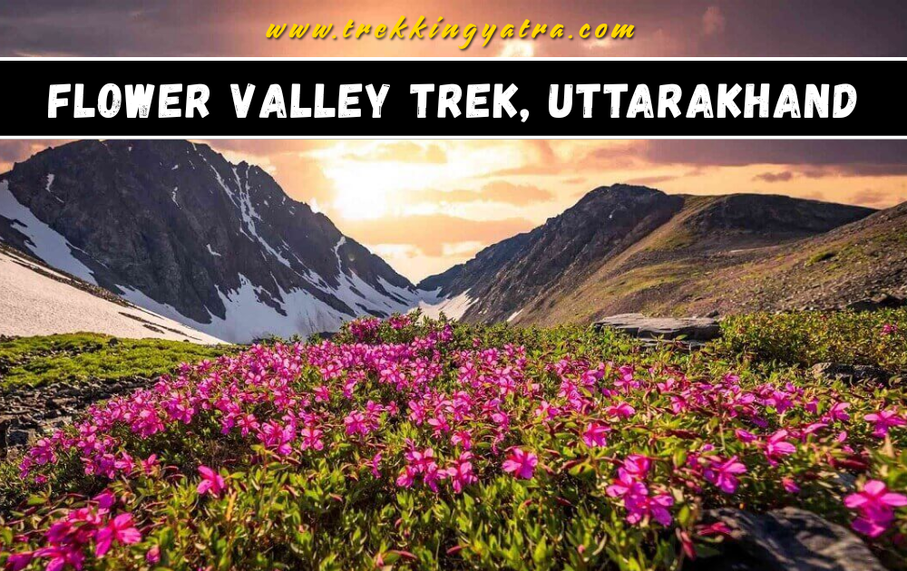 Flower Valley Trek Uttarakhand