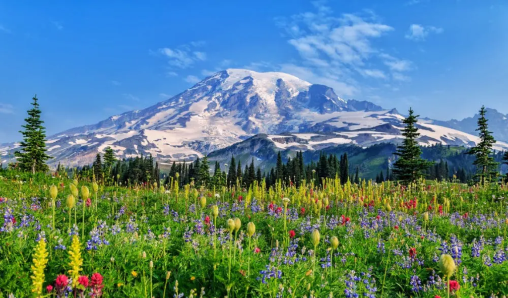 Mount Rainier National Park