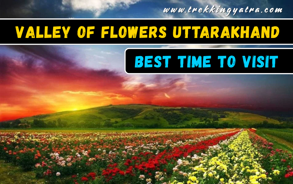 Valley of Flowers Uttarakhand Best Time to Visit
