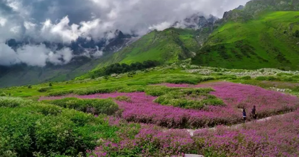Weather of Flower Valley