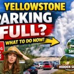 Yellowstone parking full