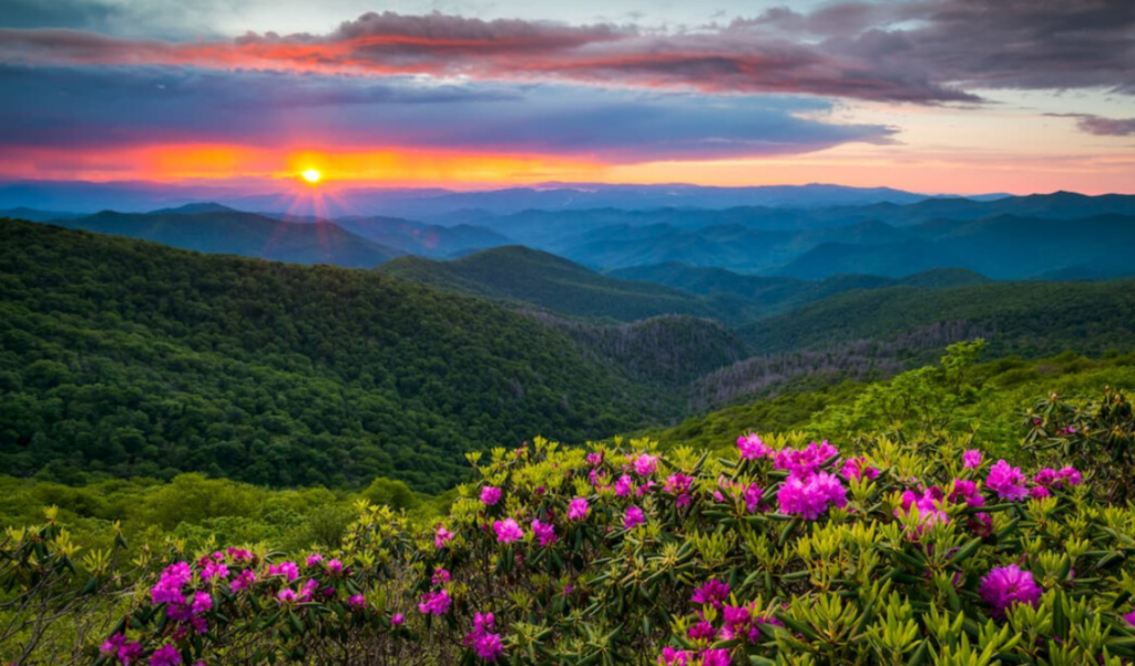 Shenandoah National Park, Virginia